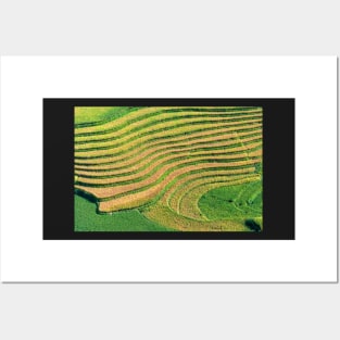 Rice Terrace3. Posters and Art